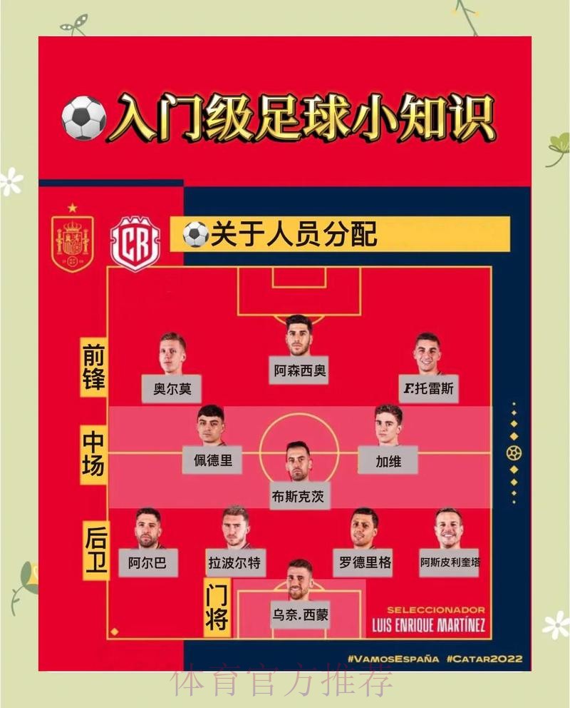 最新世界杯荷兰格列兹曼比赛解读完整指南